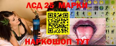 твердый Гатчина